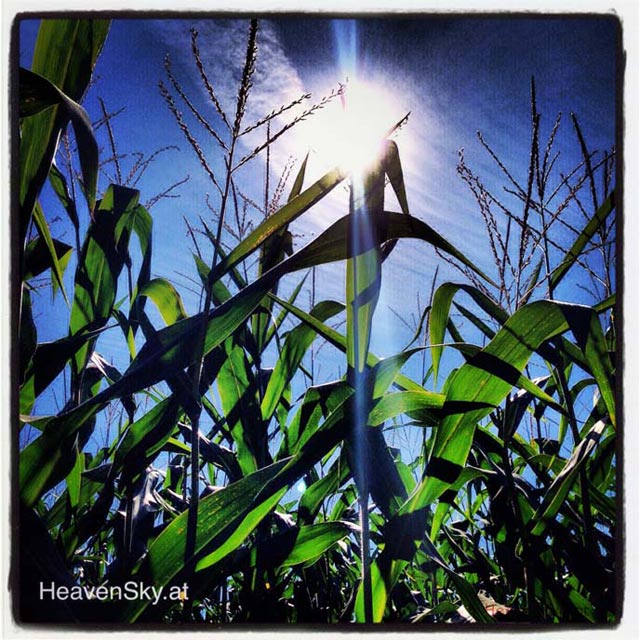 Nature-Landscapes-Animals-Photography