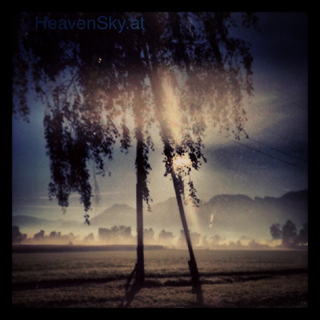 Nature-Landscapes-Animals-Photography