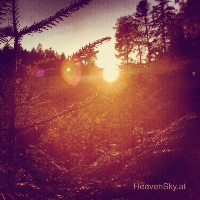 Nature-Landscapes-Animals-Photography