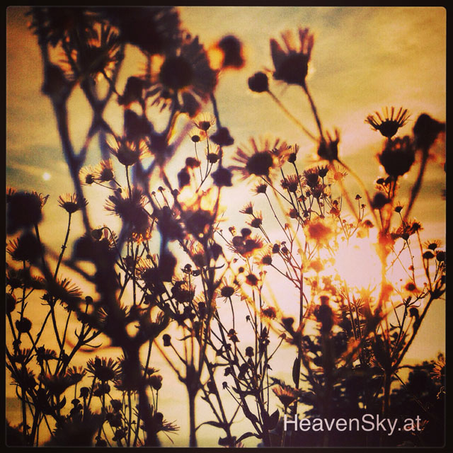 Nature-Landscapes-Animals-Photography