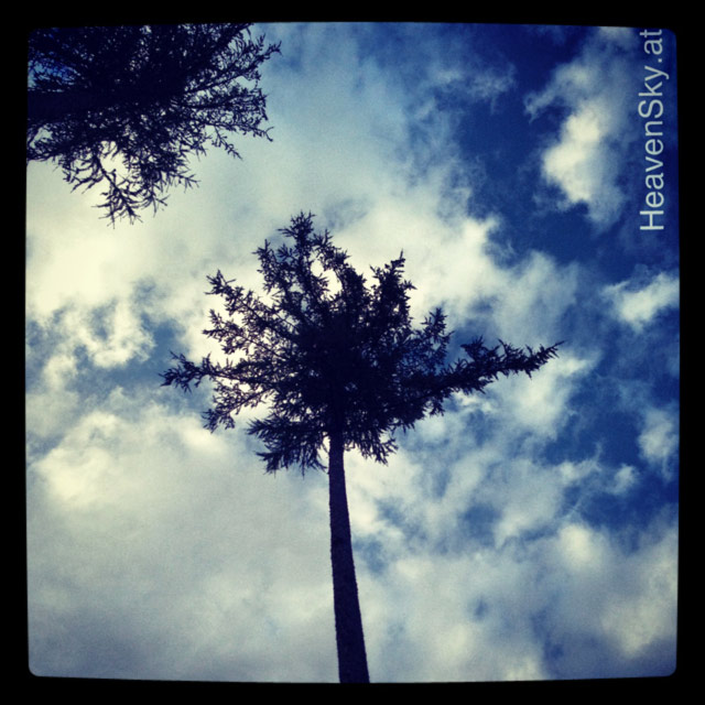 Nature-Landscapes-Animals-Photography