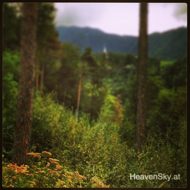 Nature-Landscapes-Animals-Photography