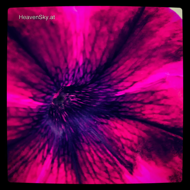 Nature-Landscapes-Animals-Photography