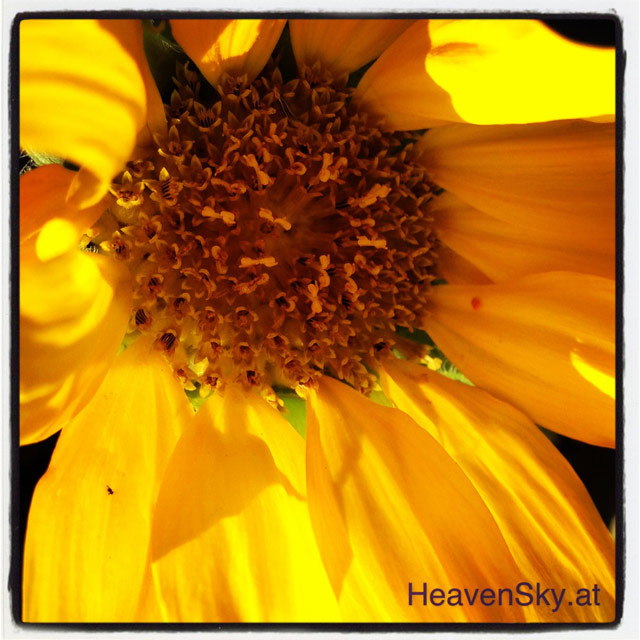 Nature-Landscapes-Animals-Photography