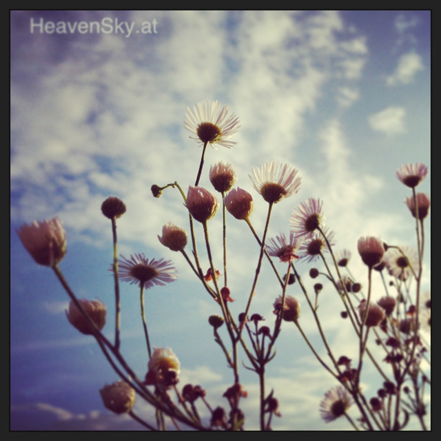 Nature-Landscapes-Animals-Photography