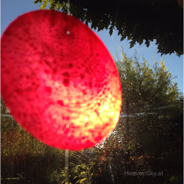 Nature-Landscapes-Animals-Photography