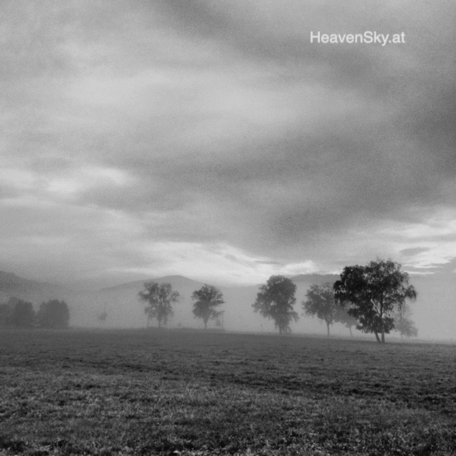 Nature-Landscapes-Animals-Photography