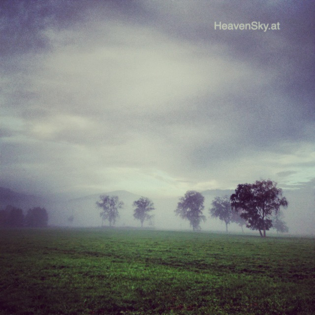 Nature-Landscapes-Animals-Photography