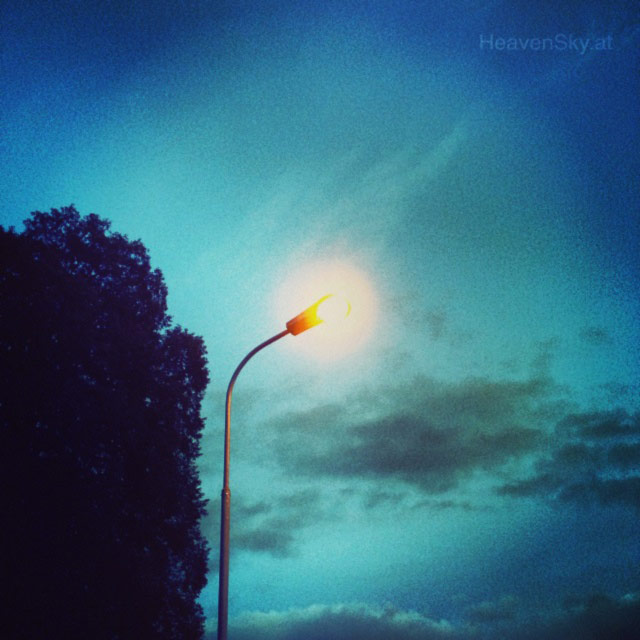 Nature-Landscapes-Animals-Photography