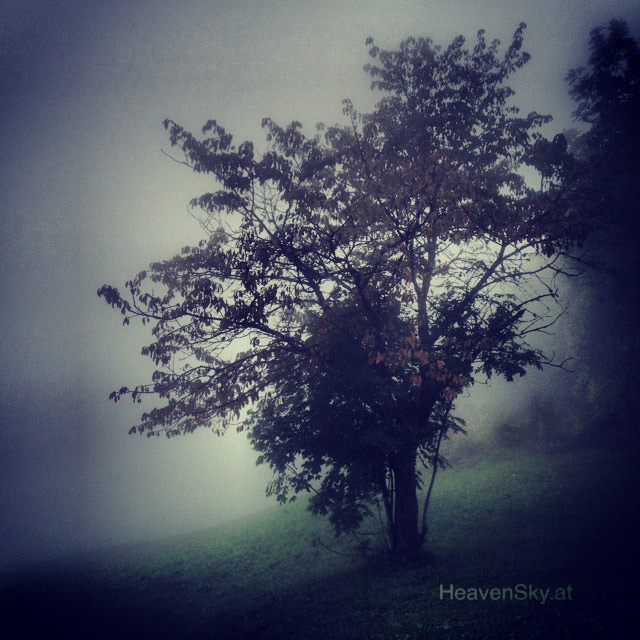 Nature-Landscapes-Animals-Photography