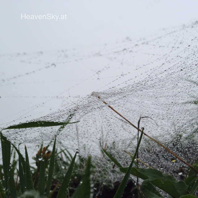 Nature-Landscapes-Animals-Photography