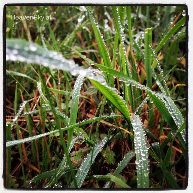 Nature-Landscapes-Animals-Photography