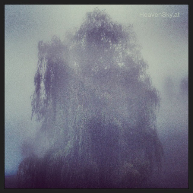 Nature-Landscapes-Animals-Photography