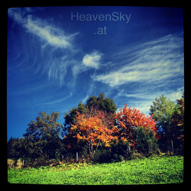 Nature-Landscapes-Animals-Photography