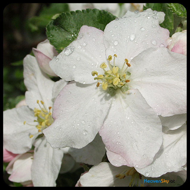 Nature-Landscapes-Animals-Photography