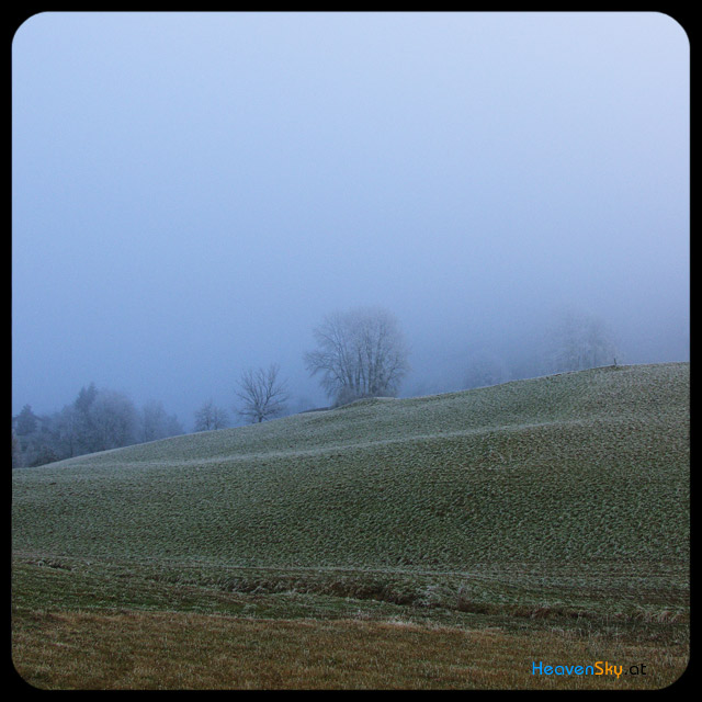 Nature-Landscapes-Animals-Photography