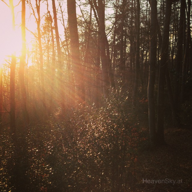 Nature-Landscapes-Animals-Photography