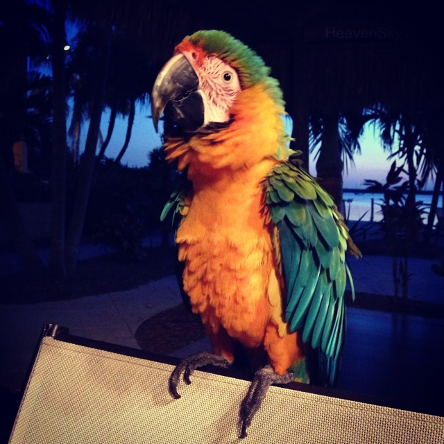 Nature-Landscapes-Animals-Photography