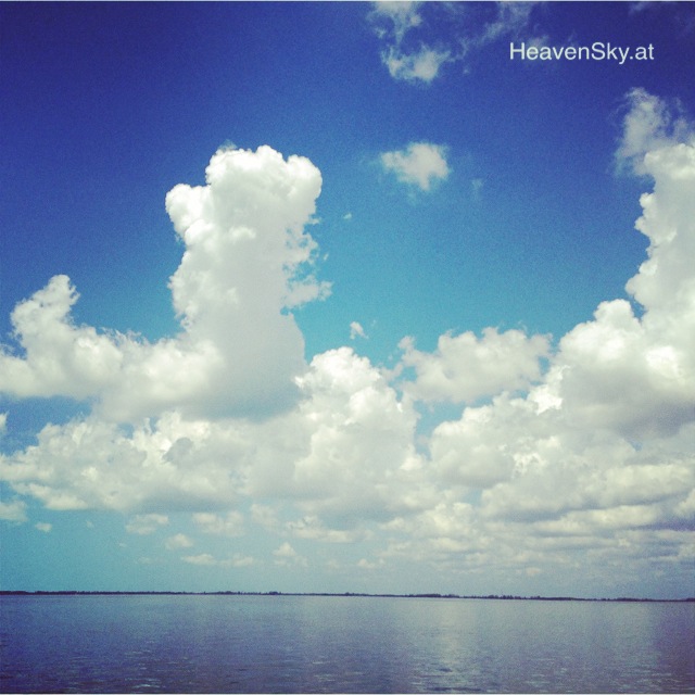 Nature-Landscapes-Animals-Photography