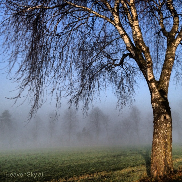 Nature-Landscapes-Animals-Photography