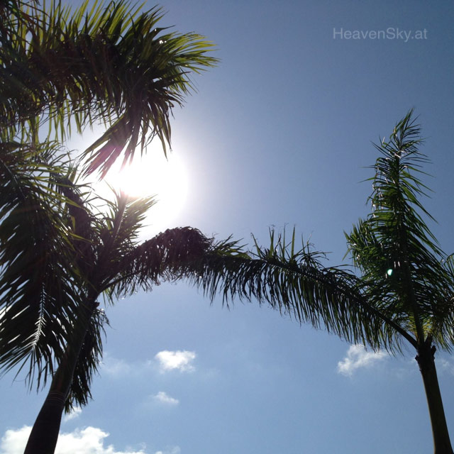 Nature-Landscapes-Animals-Photography